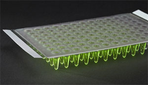 Quick Seal qPCR Crystal 9095-10121