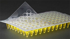 Clear Seal Peel 9095-10101