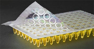Clear Seal Perf 9095-10111